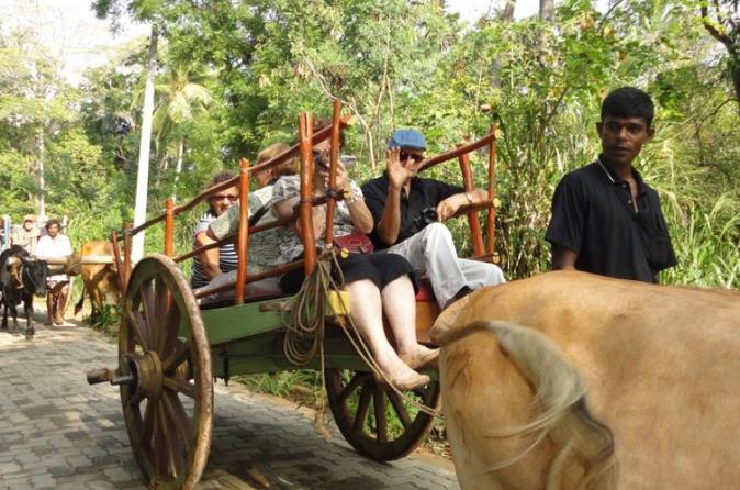 Bullock Cart Village Visit